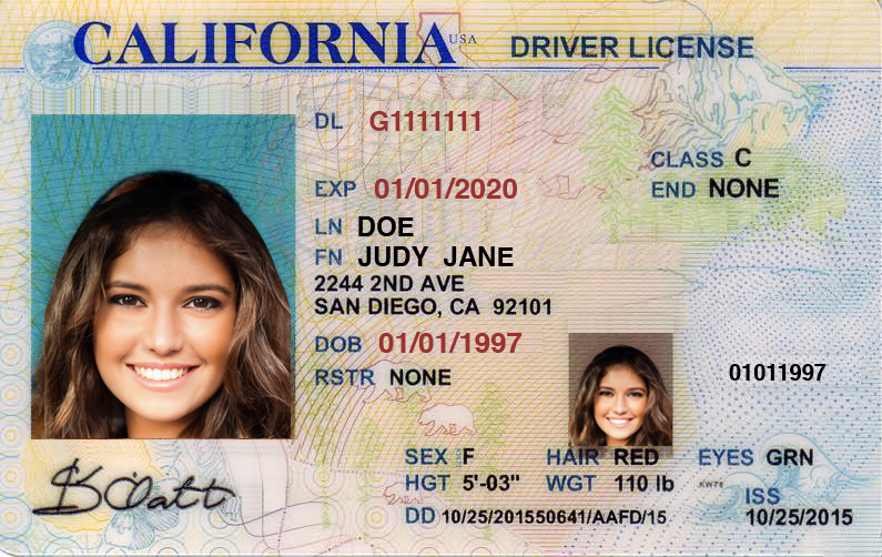 How Many Numbers Driver's License - xpertlasopa